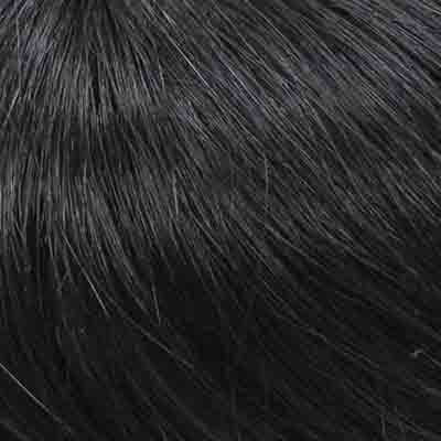 Eva Gabor Wig Color Dark Chocolate Mist