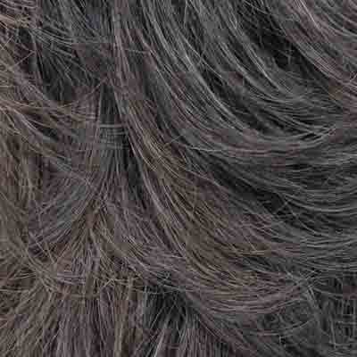 Eva Gabor Wig Color Dark Chocolate Mist