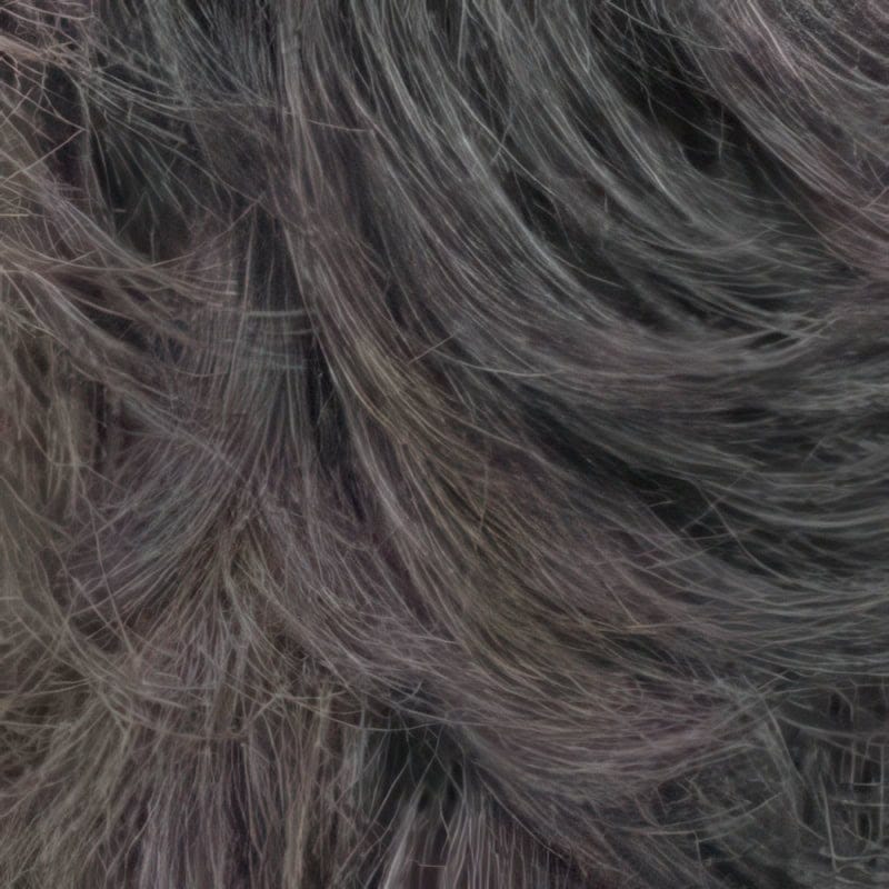 Eva Gabor Wig Color Dark Chocolate Mist