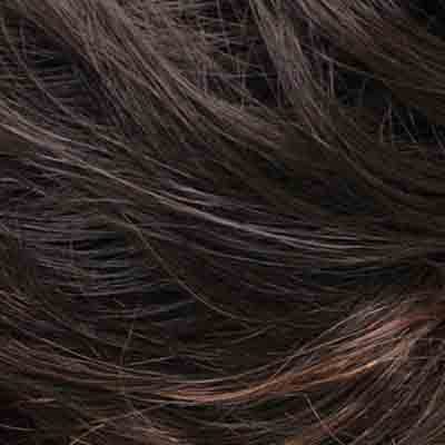Eva Gabor Wig Color Dark Chocolate Mist