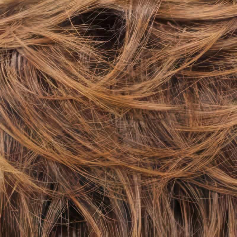 Eva Gabor Wig Color Dark Chocolate Mist