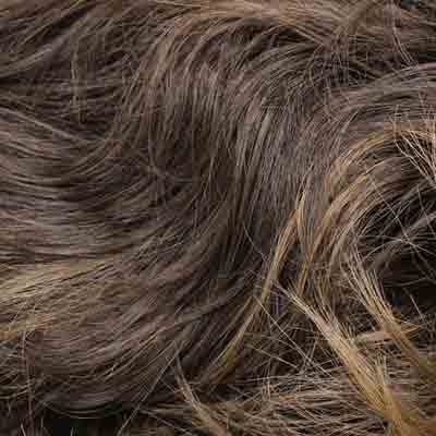 Eva Gabor Wig Color Dark Chocolate Mist