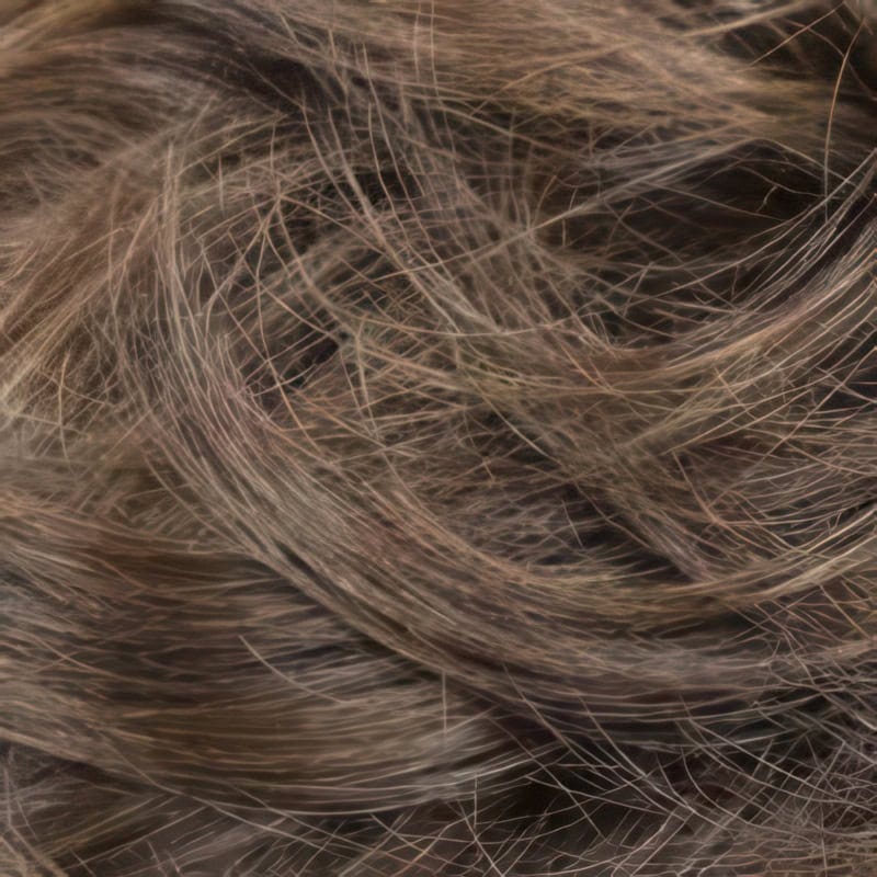 Eva Gabor Wig Color Dark Chocolate Mist