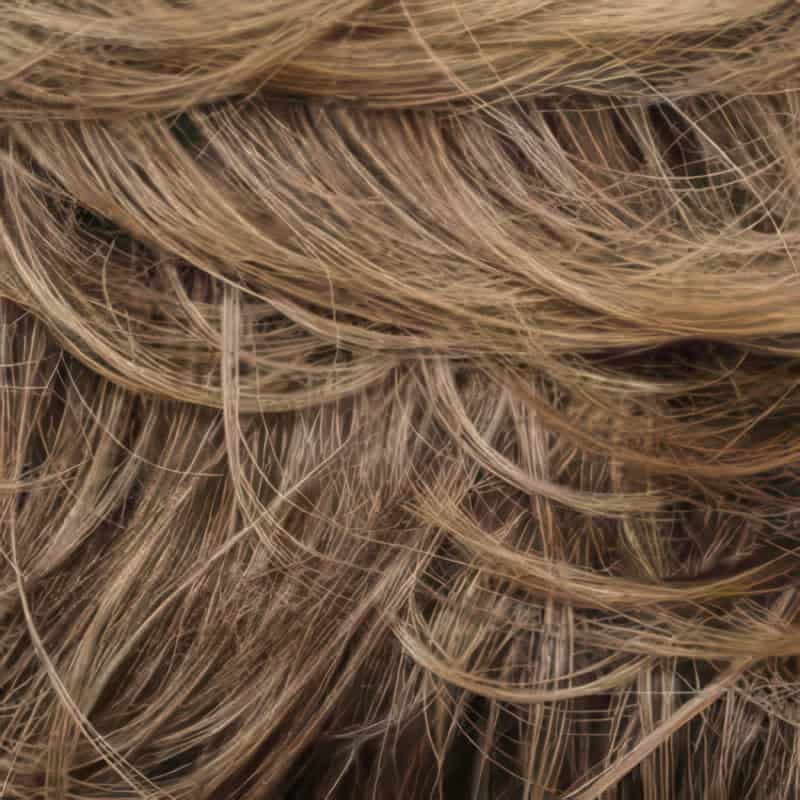 Eva Gabor Wig Color Dark Chocolate Mist