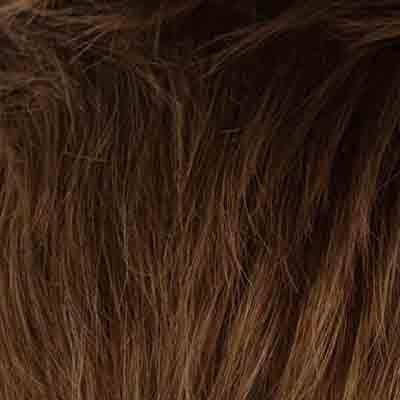 Eva Gabor Wig Color Dark Chocolate Mist