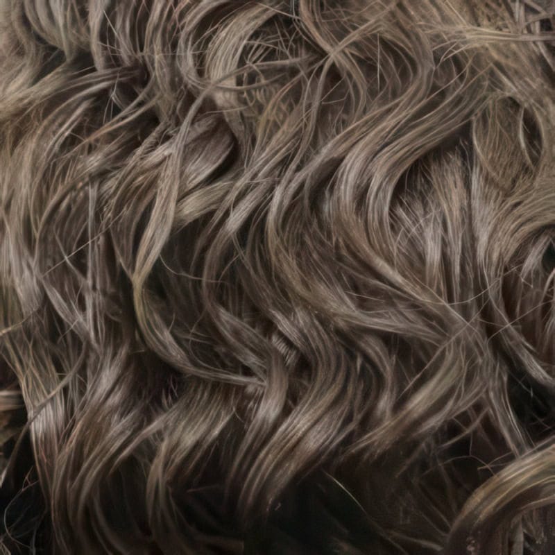 Eva Gabor Wig Color Dark Chocolate Mist