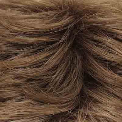 Eva Gabor Wig Color Dark Chocolate Mist