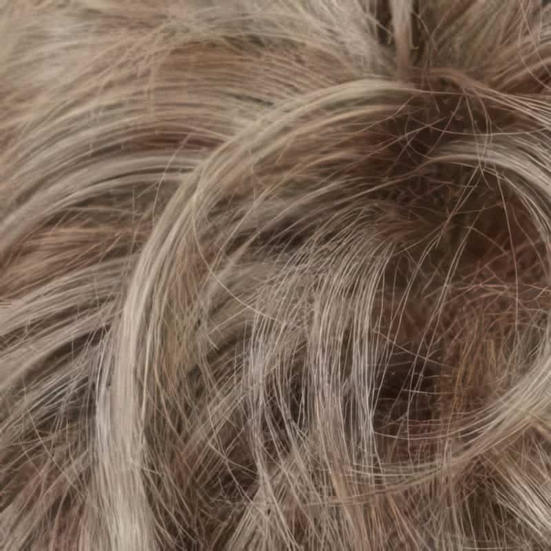 Eva Gabor Wig Color Dark Chocolate Mist