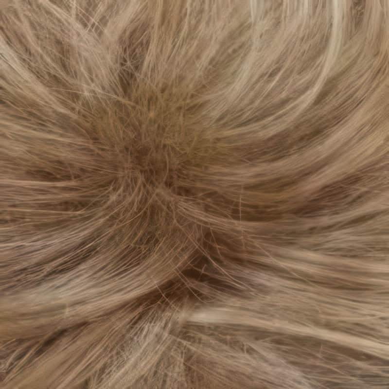 Eva Gabor Wig Color Dark Chocolate Mist