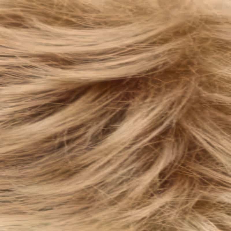 Eva Gabor Wig Color Dark Chocolate Mist