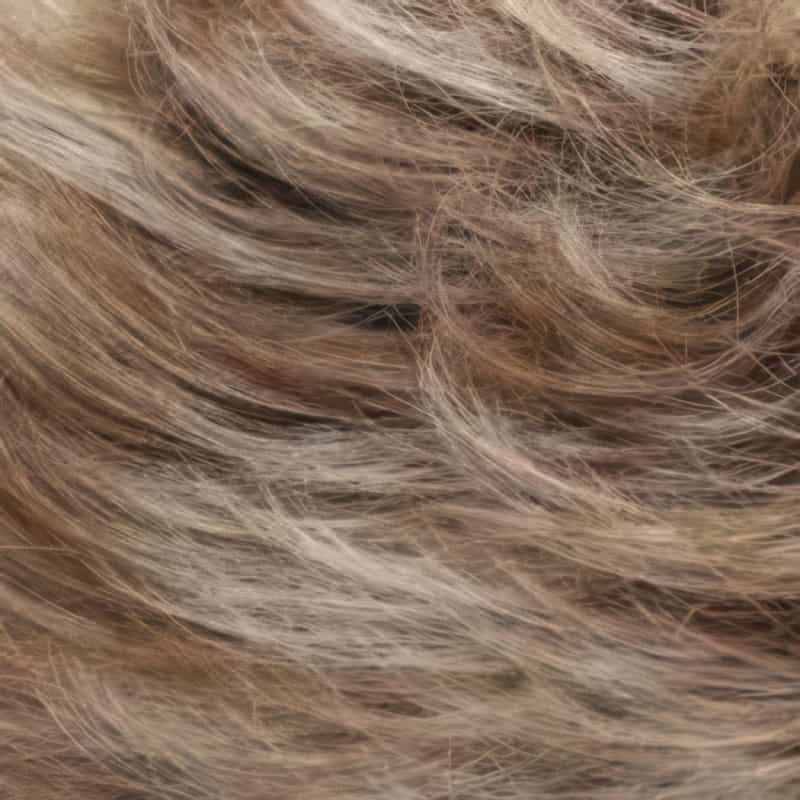 Eva Gabor Wig Color Dark Chocolate Mist