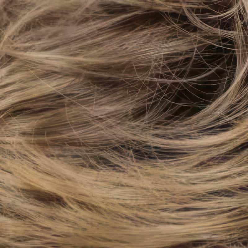 Eva Gabor Wig Color Dark Chocolate Mist