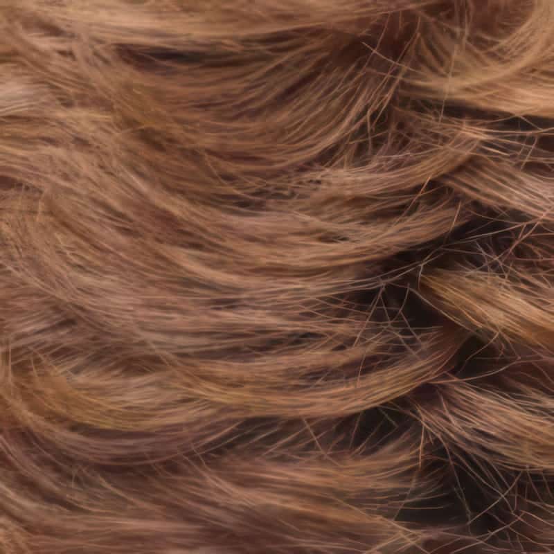 Eva Gabor Wig Color Dark Chocolate Mist