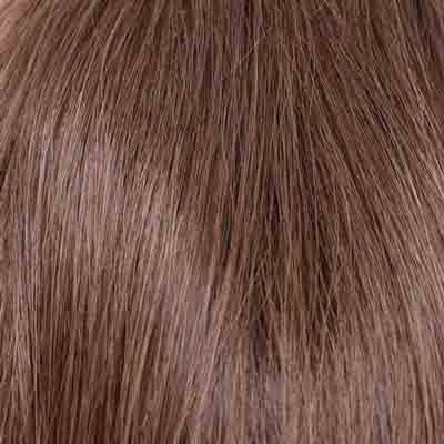 Eva Gabor Wig Color Dark Chocolate Mist