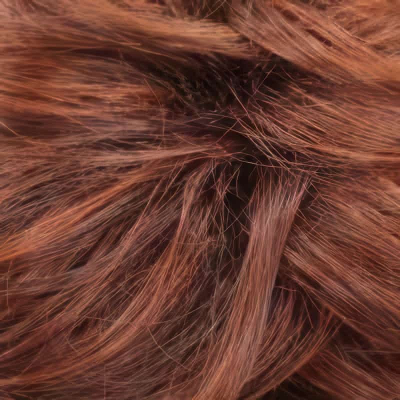 Eva Gabor Wig Color Dark Chocolate Mist