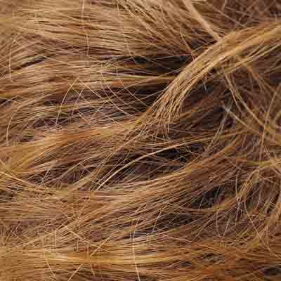 Eva Gabor Wig Color Dark Chocolate Mist