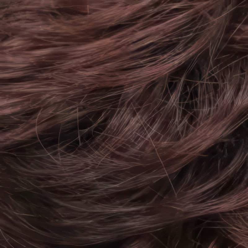 Eva Gabor Wig Color Dark Chocolate Mist