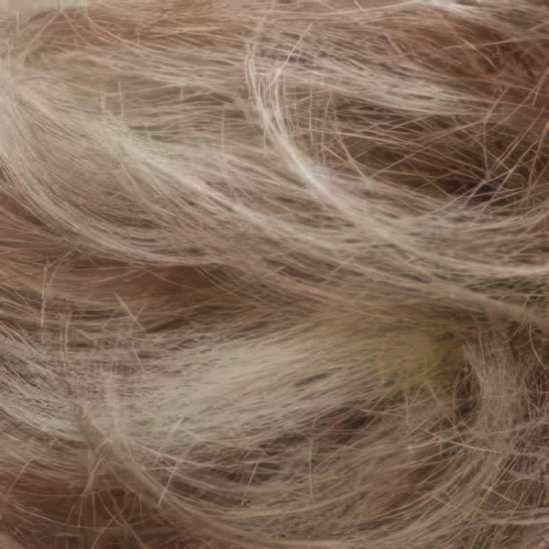 Eva Gabor Wig Color Dark Chocolate Mist