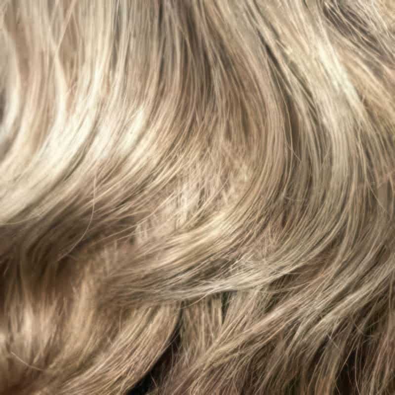 Eva Gabor Wig Color Dark Chocolate Mist