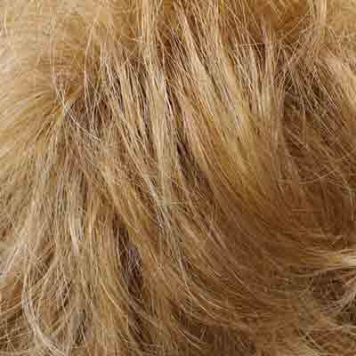 Eva Gabor Wig Color Dark Chocolate Mist