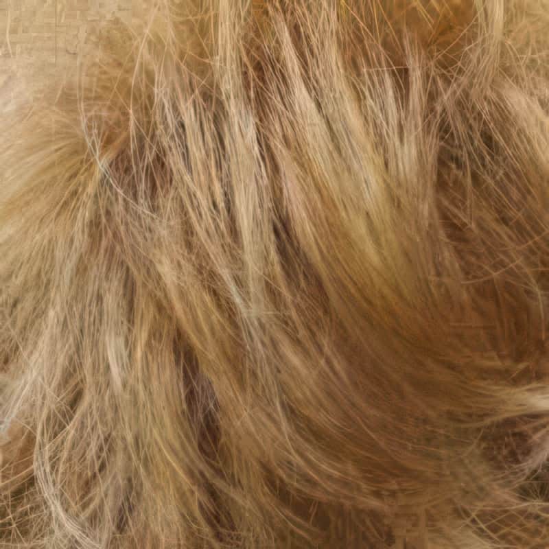 Eva Gabor Wig Color Dark Chocolate Mist