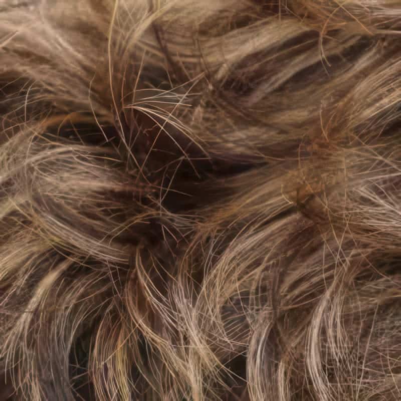 Eva Gabor Wig Color Dark Chocolate Mist