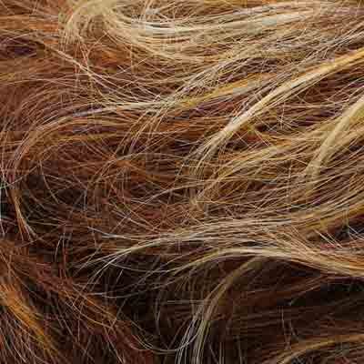 Eva Gabor Wig Color Dark Chocolate Mist