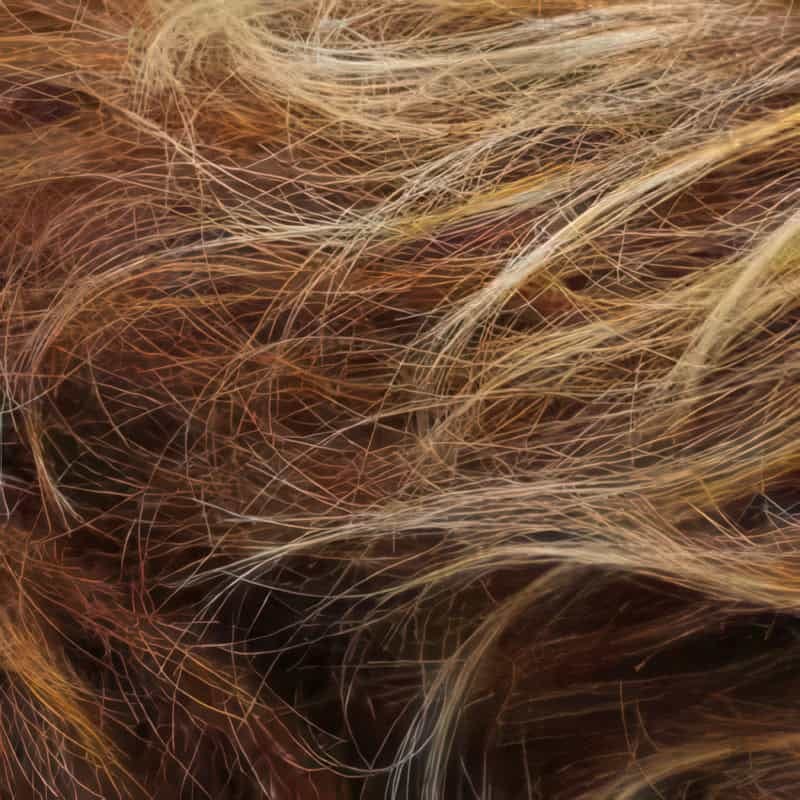 Eva Gabor Wig Color Dark Chocolate Mist