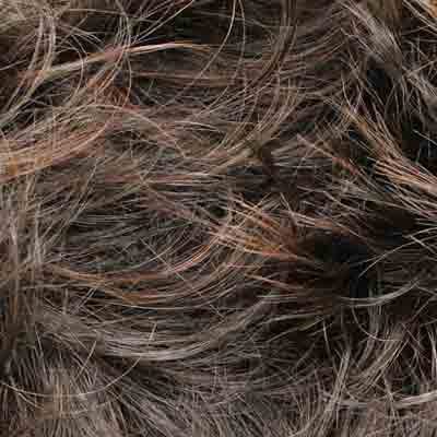 Eva Gabor Wig Color Dark Chocolate Mist