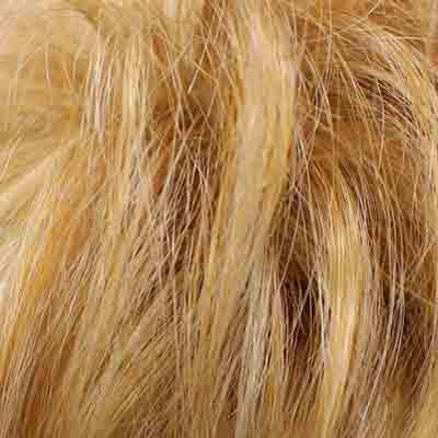 Eva Gabor Wig Color Dark Chocolate Mist