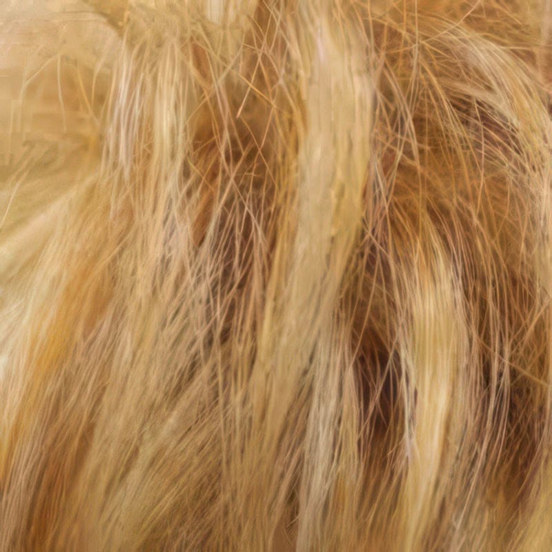Eva Gabor Wig Color Dark Chocolate Mist