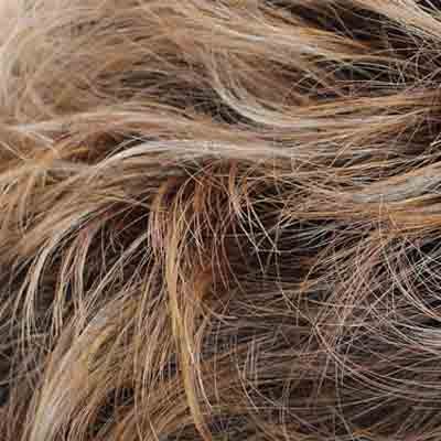 Eva Gabor Wig Color Dark Chocolate Mist