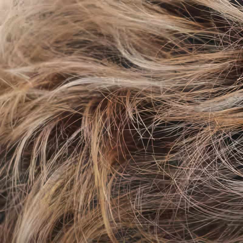 Eva Gabor Wig Color Dark Chocolate Mist