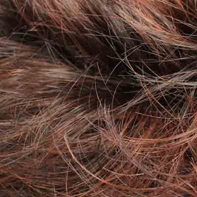 Eva Gabor Wig Color Dark Chocolate Mist