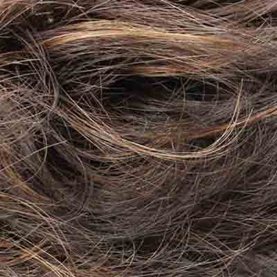 Eva Gabor Wig Color Dark Chocolate Mist