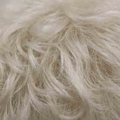 Eva Gabor Wig Color Dark Chocolate Mist