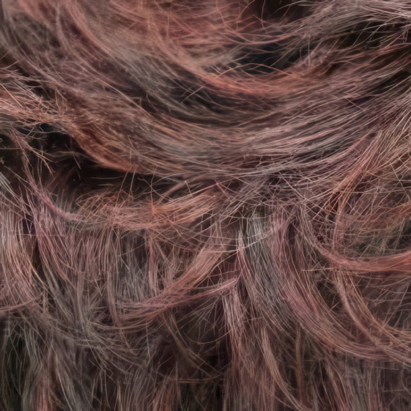 Eva Gabor Wig Color Dark Chocolate Mist