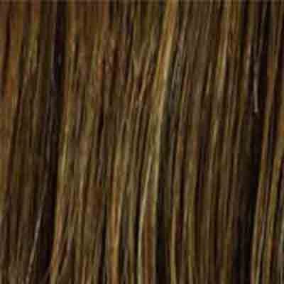 Eva Gabor Wig Color Dark Chocolate Mist