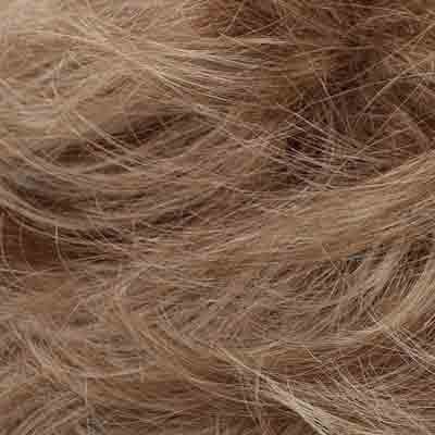 Eva Gabor Wig Color Dark Chocolate Mist