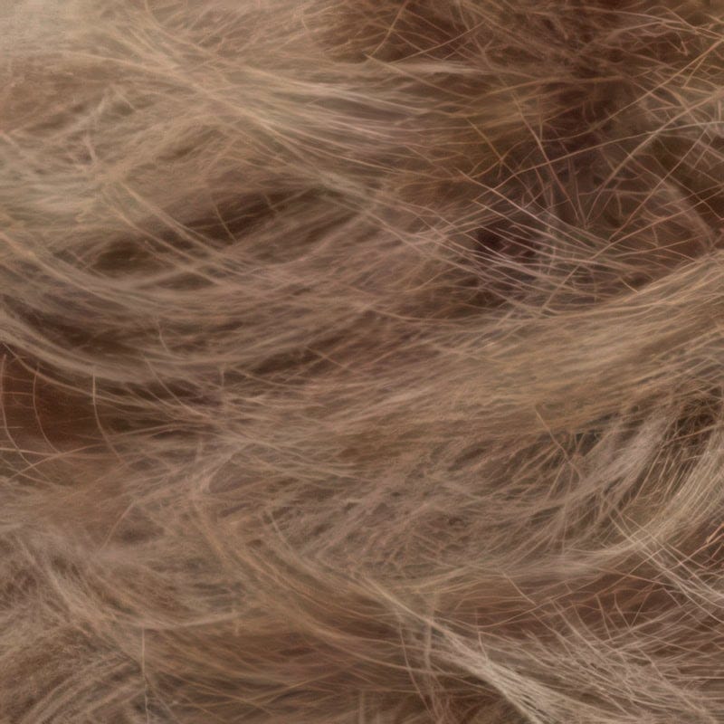 Eva Gabor Wig Color Dark Chocolate Mist