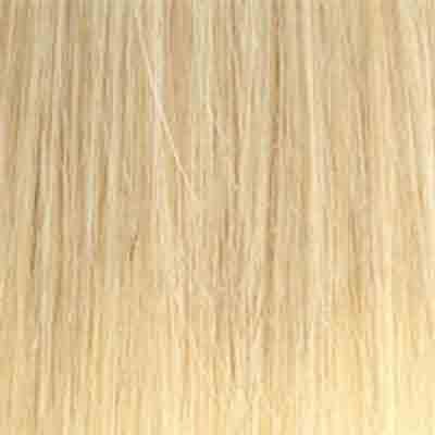 Eva Gabor Wig Color Dark Chocolate Mist