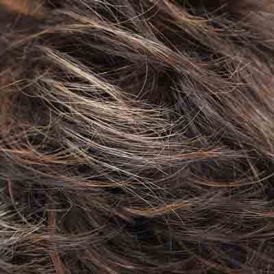 Eva Gabor Wig Color Dark Chocolate Mist