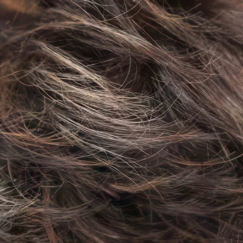 Eva Gabor Wig Color Dark Chocolate Mist