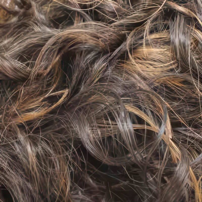 Eva Gabor Wig Color Dark Chocolate Mist