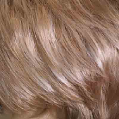 Eva Gabor Wig Color Dark Chocolate Mist