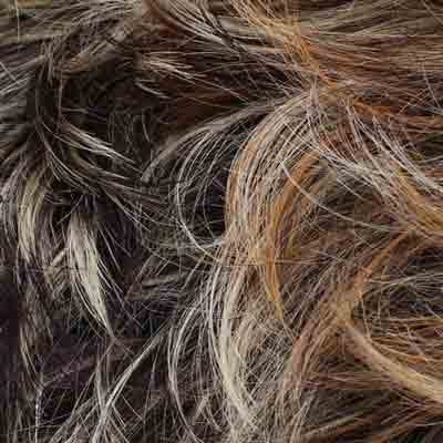 Eva Gabor Wig Color Dark Chocolate Mist