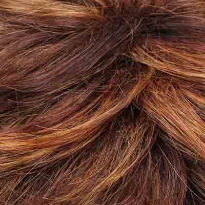 Eva Gabor Wig Color Dark Chocolate Mist