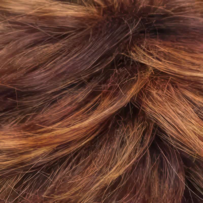 Eva Gabor Wig Color Dark Chocolate Mist