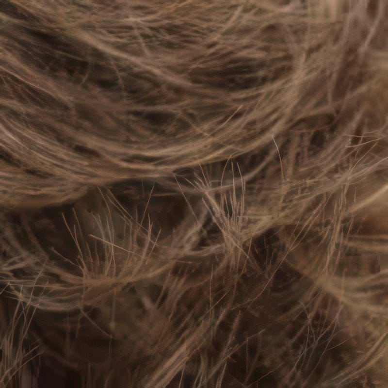 Eva Gabor Wig Color Dark Chocolate Mist