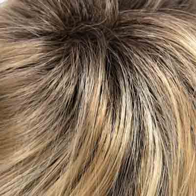 Eva Gabor Wig Color Dark Chocolate Mist